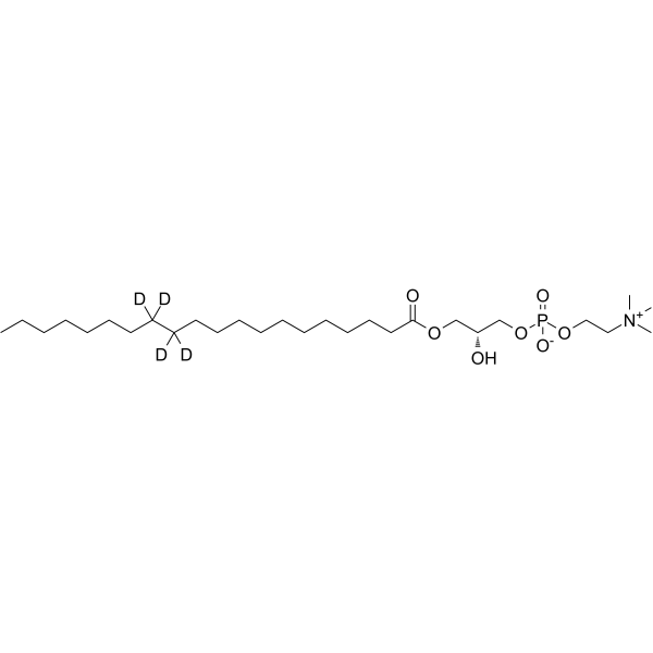 1-Arachidoyl-sn-glycero-3-phosphocholine-d4 2483831-16-7